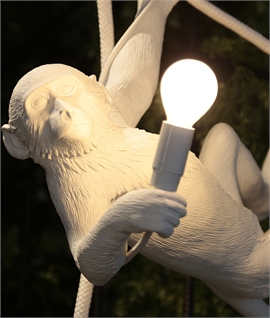 Seletti Monkey Swing Light - White for Indoor Use