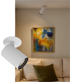 Semi-Recessed Adjustable Single Spot - GU10 Lamp