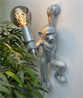 Silver Monkey Wall Light - E27 Lamp