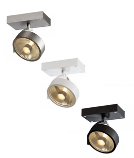 Adjustable High Output Spotlights for Wall or Ceiling