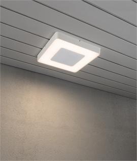 Remote Controlled LED Exterior Ceiling Light