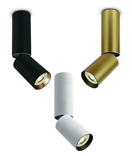 Long Cylinder Adjustable Surface Mounted Spotlight