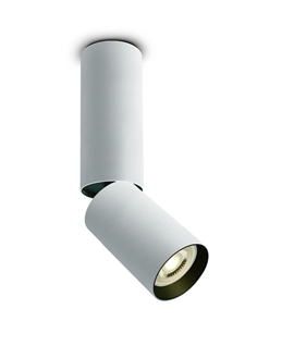 Long Cylinder Adjustable Surface Mounted Spotlight