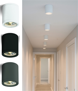 Budget Surface Mounted Exterior Downlight for PAR30 Lamp - IP65