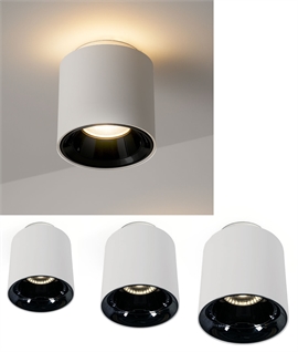 Surface Mounted LED Ceiling Light with Up and Down Illumination