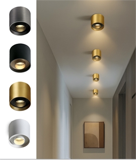 Surface Mounted 8w COB LED Cylinder with Interchangeable Reflectors