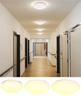Dome Round LED Ceiling or Wall Light - 3 Sizes 