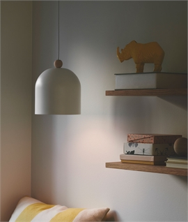 Colour Metal Pendant Light with Top Wood Detail