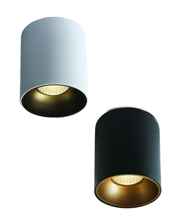 20W COB LED Surface Mounted Ceiling Cylinder 