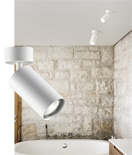 Slim White Adjustable Spotlight with Adjustable Diffuser - Wall or Ceiling