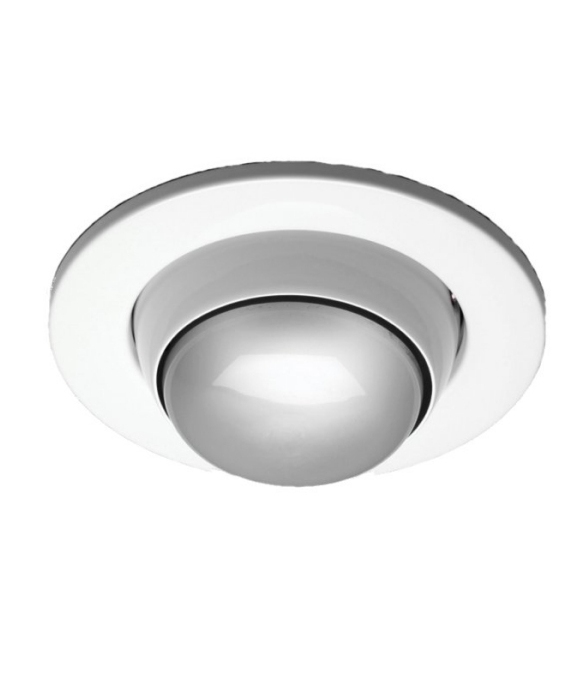 Eyeball Downlight for use with R80 Reflector Lamp