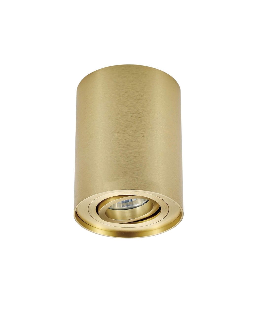 Brushed gold led shop downlights