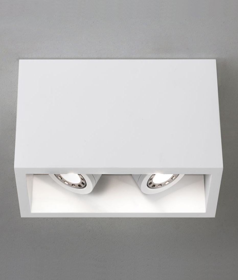 Surface Mounted Fixed Downlights Lighting Styles White Twin Surface Mounted Adjule Led Downlight