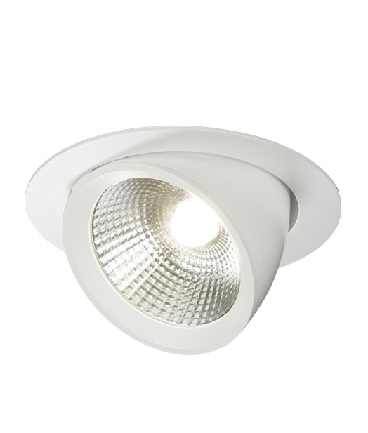 Commercial Round LED Adjustable Scoop Downlight