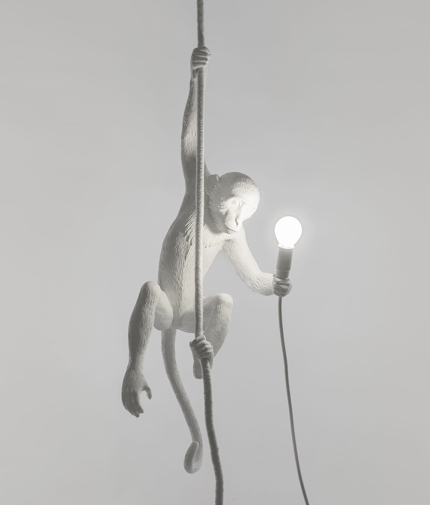 Hanging Monkey Light Supplied With Led Lamp Switched On Flex Hang As You Wish