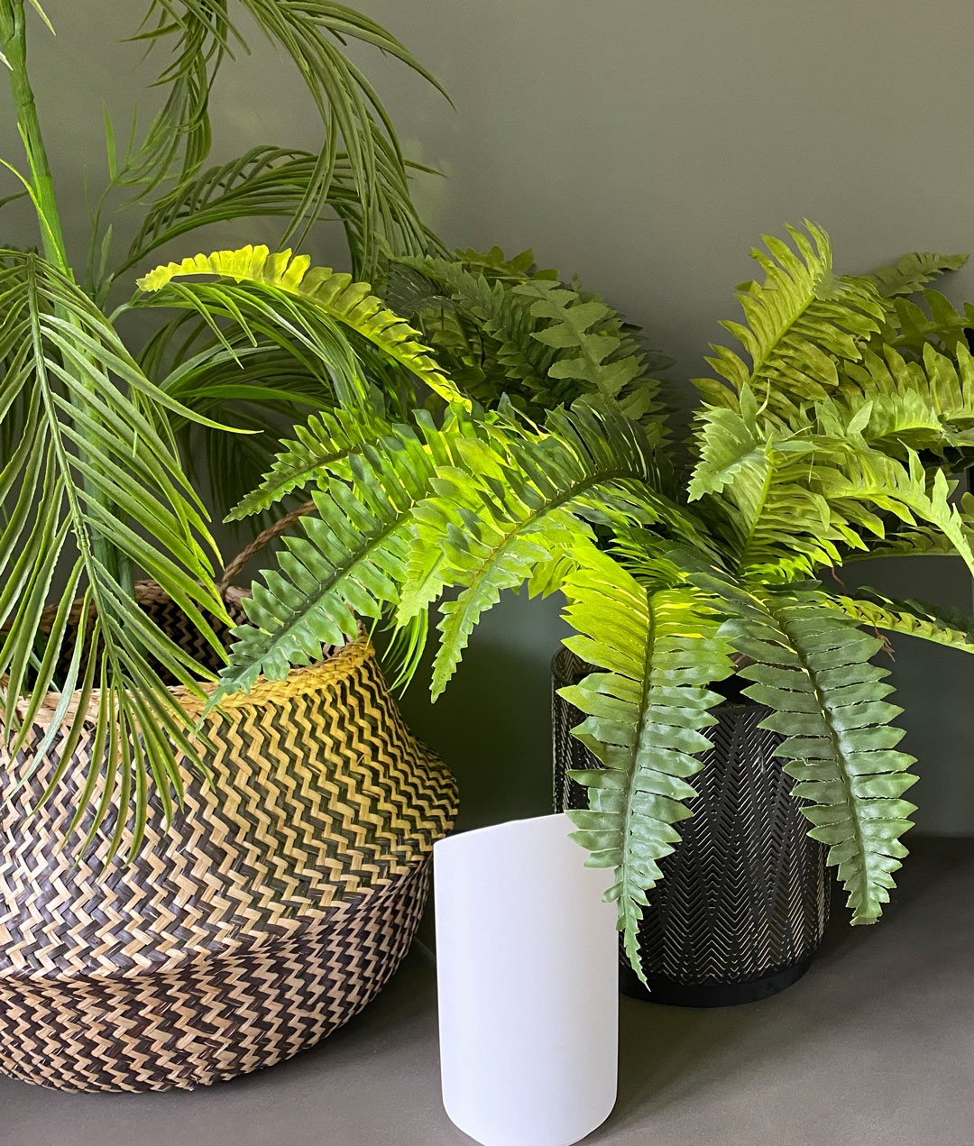 Indoor shop plant uplighters