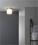 Attractive Low Protrusion Ceiling Light - Bright Yet Diffused Lighting For Bathrooms