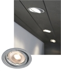 Galvanised Soffit Downlight For LED Lamps - Adjustable Wallwashing