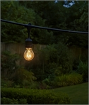 Black Outdoor Festoon String Lights – 7m Lighting Span & 1m Lead IP44 Rated
