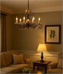 5 Light Elegant Rococo Style Chandeliers - Crystal Adorned