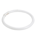 Circular T5 Tube Lamp 16mm in Multiple Sizes - Warm White and Neutral White Options