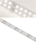 19.2W per Metre White LED Tape Light, 240 LEDs per Metre, 16mm Wide, 5m Reel