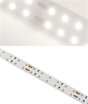 28.8W per Metre White LED Tape Light, 120 LEDs per Metre, 20mm Wide, 5m Reel