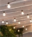 Pro Grade Traditional Festoon String Lights for 20 Bulbs