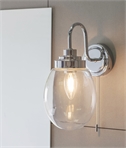 IP44 Swan Neck Chrome Bathroom Wall Light & Oval Glass Shade