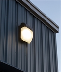 Black IP65 Industrial Grade Wall Light with COB LED