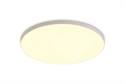 White 20W Downlight LED,  IP20 Complete with 700mA driver.