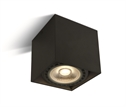 Black 15W GU10, R111 Ceiling Light.