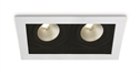 White 2x12W LED Dark Light Recessed adjustable spot,  IP20.