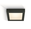 Black 22W LED slim plafo light, IP40, suitable for residential andcommercial application.