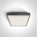 Anthracite 2xE27 plafo light, ABS body and PC diffuser, IP65 rate, ideal for indoorand outdoor application.
