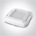 White Power and CCT adjustable high power box.