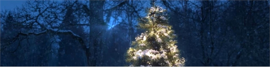 Outdoor Lighting for Christmas