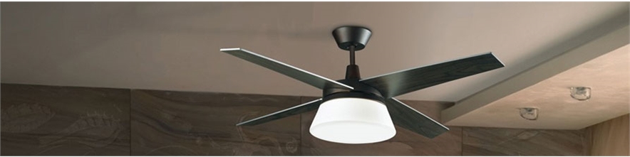 Ceiling Fans Lighting Styles, Are Patriot Ceiling Fans Quiet