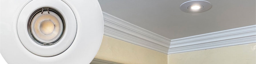 Oversize R80 Converter Downlights