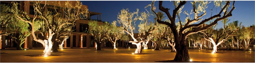 Commercial Lights Office Hotel Retail Lighting Styles
